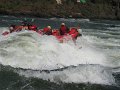667 655 IMG_2771